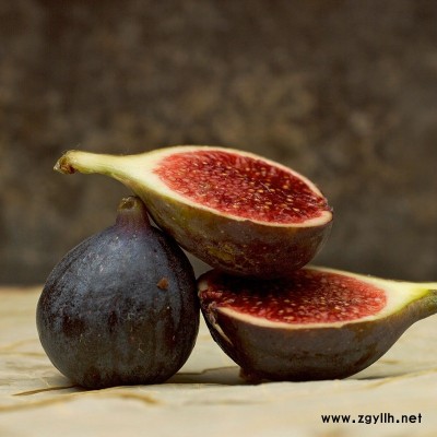 合江五年生无花果苗图片大全