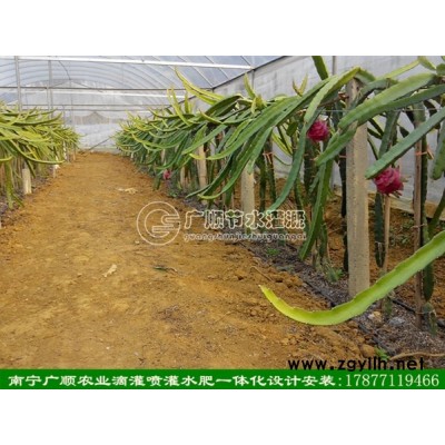 贴片式滴管带 广西滴灌管 南宁滴灌设备