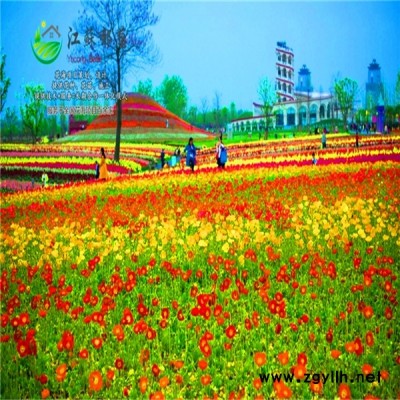 汉中市花海项目规划指导施工免费设计