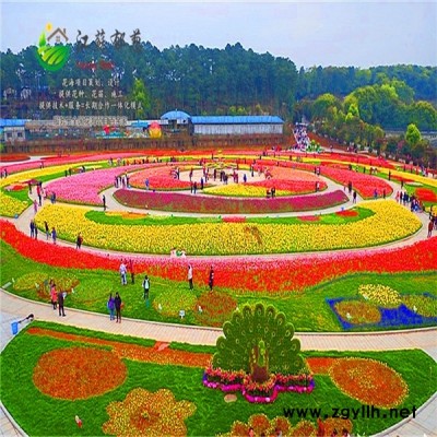 河北省衡水市花海项目设计公司免费设计