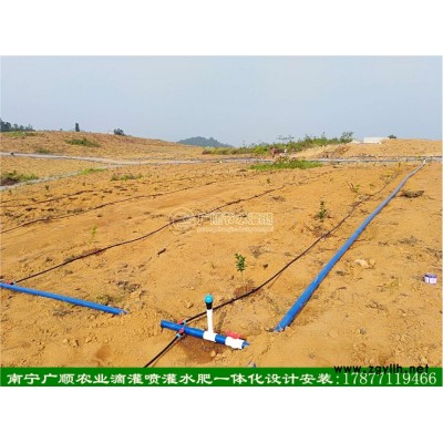 广西本地先进技术企业 果园滴灌喷灌水肥一体化工程一带一安装