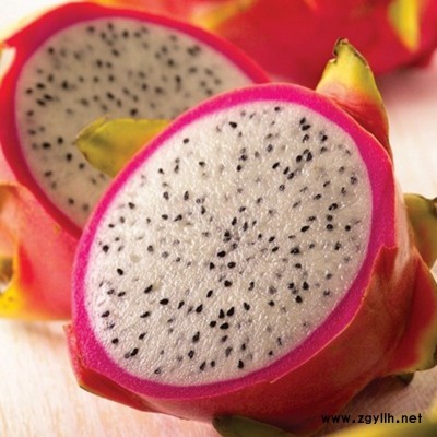 怀远台湾大红火龙果苗出售信息