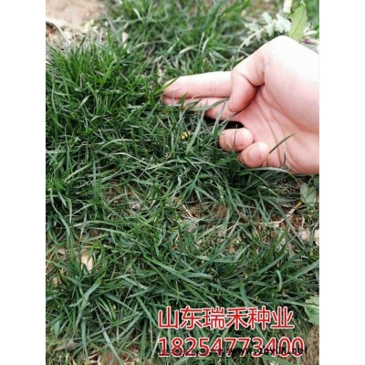 草籽什么季节种小区