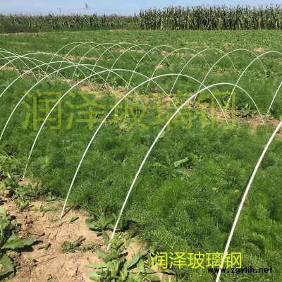 河北润泽可定制纤维棒拱棚支架园艺支架拱杆