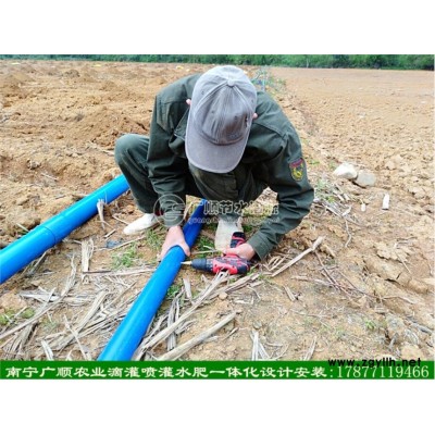 广西南宁农业果树喷淋设备