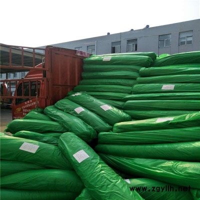 绿色三针盖土防尘网现货