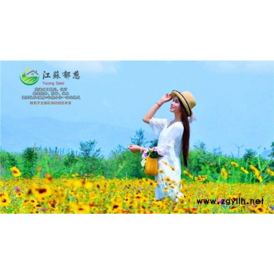 茉莉种子哪里有卖的...免费试钟