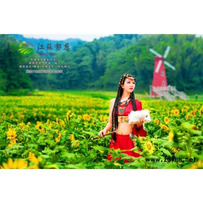 皮科特波斯菊种子种植技术方法...高发芽率