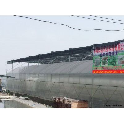 华博同创杭州基地向贵州供应大量白芨种苗 有意请电联系