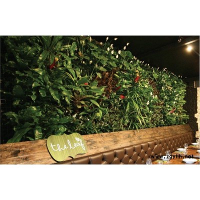 北京室内植物墙