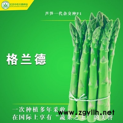原装进口格兰德F1芦笋种子，芦笋种子价格，北京中农天腾种业全国经销