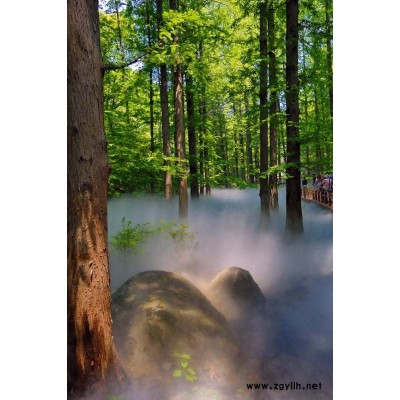 崇左园林景观造雾降温，厂家直销人造雾景观设备