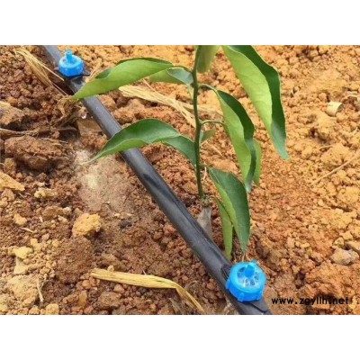 供应果树滴灌设备小管出流滴头稳流器压力补偿滴头