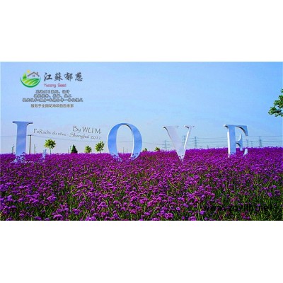 欧李种子一般多少钱一斤...认证企业