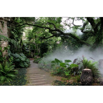 桂林户外人造雾_景观人造雾设备_喷雾造景