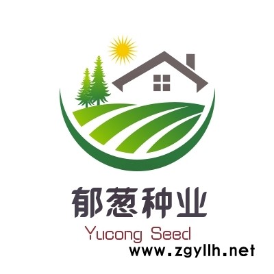 紫色百日草种子种植技术方法