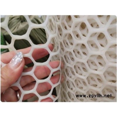白色塑料鸭棚网片厂家批发