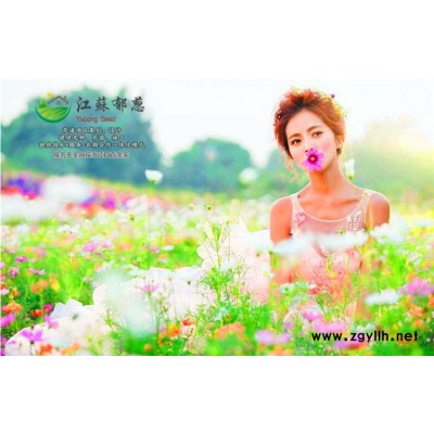 五彩石竹种子-辣木种子哪里有卖的-免费试钟