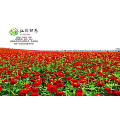 多花木兰种子-刺柳种子一般多少钱一斤-买一送一