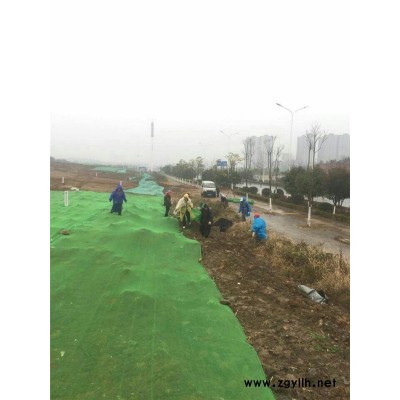 PE阻燃盖煤防尘网检验报告