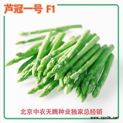 芦笋种子 芦冠一号高产芦笋种子 北京中农天腾种业