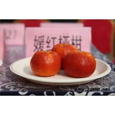爱媛椪柑,媛红椪柑苗的价格是多少钱一株
