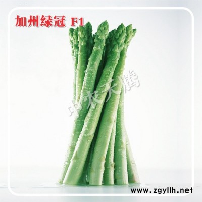 加州绿冠F1-进口芦笋种子 国际优质绿白兼用芦笋新品种 北京中农天腾种业全国总经销