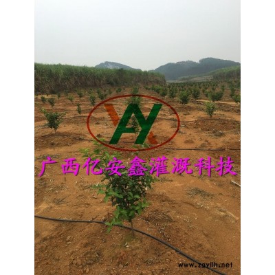 亿安鑫(图)-pe滴灌过滤器-博白滴灌过滤器