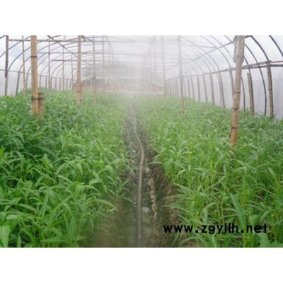 农用滴灌带批发价格-开远农用滴灌带-润成节水灌溉生产厂家