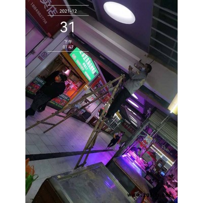 杀虫哪家公司好-嵩明杀虫-润欧除虫价格(查看)