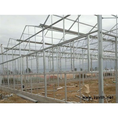 吴堡新型温室蔬菜大棚图片自动化温室