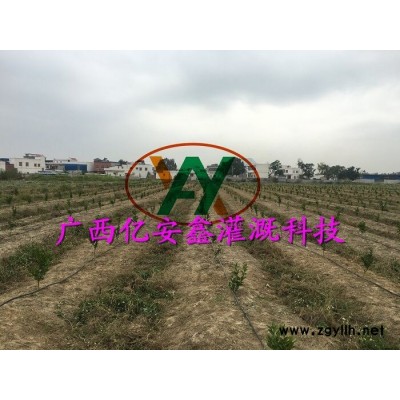 河池大田灌溉-亿安鑫农业设备-玉米大田灌溉