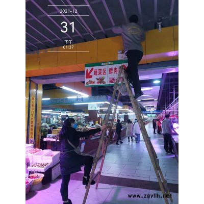 润欧灭老鼠(图)-除螨哪里有-富民除螨