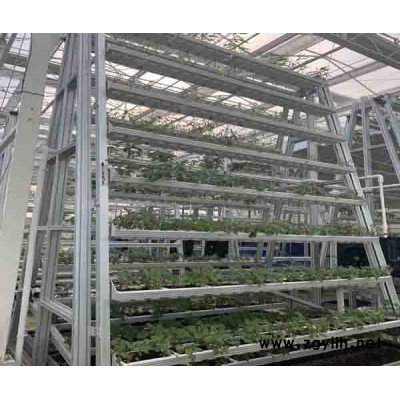A字架立体栽培批发-泓稷科技