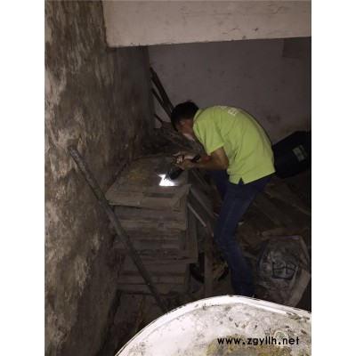 医院白蚁防治工程-东莞南城街道白蚁防治工程-植美生物灭蚁