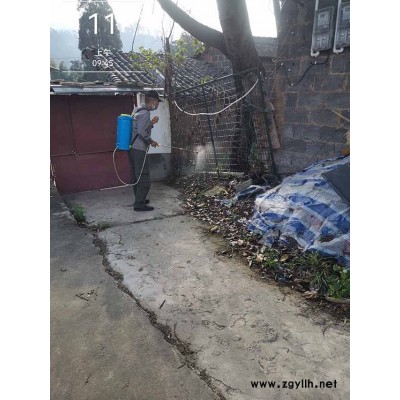 灭苍蝇哪家公司好-灭苍蝇-润欧除虫费用