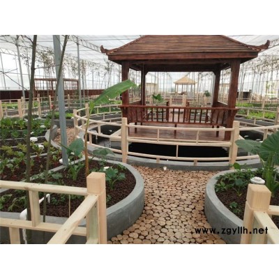 丰宁连栋温室造价在线咨询“本信息长期有效”