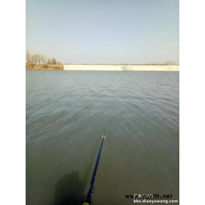 海钓打窝方法-钓鱼王渔具(推荐商家)