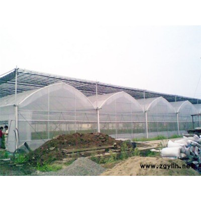 峰峰矿区一亩薄膜温室价格市场前景如何