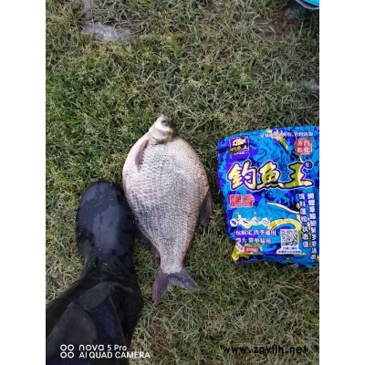 钓鱼王薯香螺鲤-湖北钓鱼王渔具公司(图)