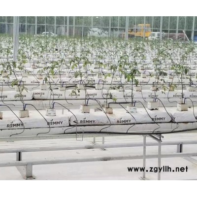 上海黄瓜栽培槽哪家好“本信息长期有效”