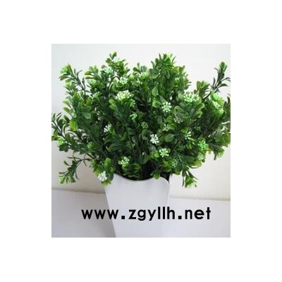 江汉写字楼花卉租摆-众芳园艺有限公司