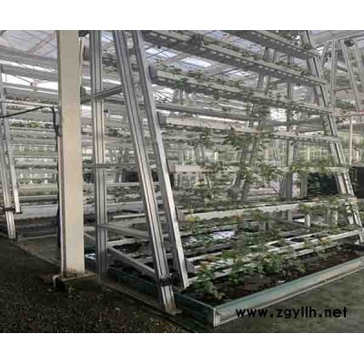 A字型立体栽培多少钱-立体栽培多少钱-泓稷科技公司(查看)