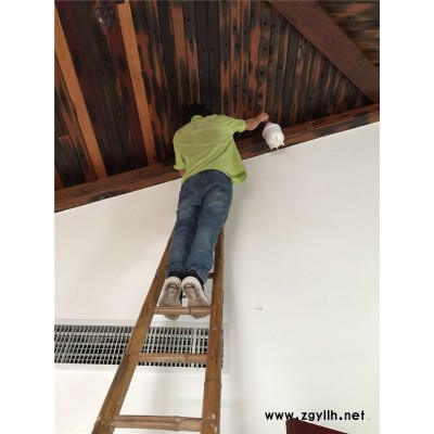 植美白蚁防治(图)-街道白蚁治理-东莞樟木头白蚁治理