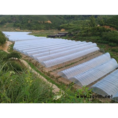 防虫网工程-龙岩防虫网-福州龙泰大棚厂家(查看)