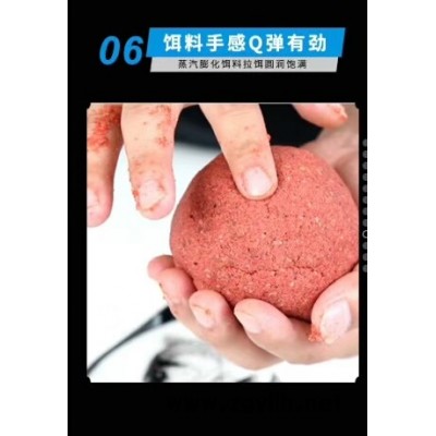 钓鱼王鲢鳙-湖北钓鱼王渔具(在线咨询)