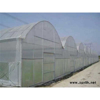 高阳现代化薄膜温室-现代化薄膜温室加工厂家-青州瀚洋农业