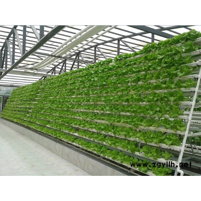 防虫网公司-福州防虫网-福州龙泰大棚搭建(查看)