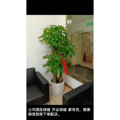 武汉家庭庭院设计施工-美静园艺绿植出租设计(在线咨询)