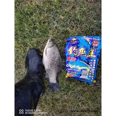 新版疯钓鲫本味-湖北钓鱼王渔具(在线咨询)